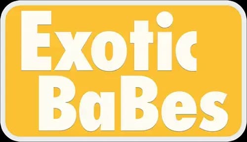 Big Tits Camgirl Dolce